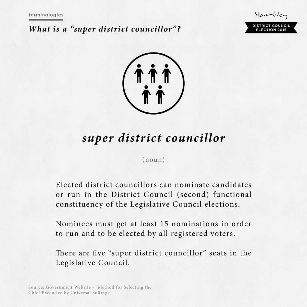 Super District Councillor