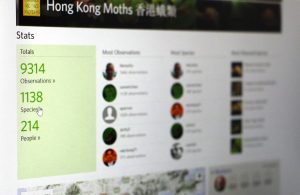 Statistics of moth-counting shown online