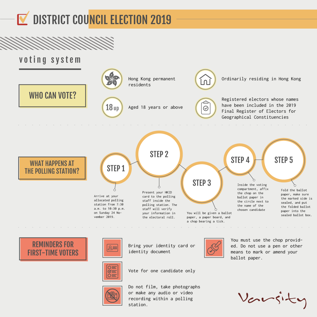 In this series of infographics, we present how the District Council voting system works.