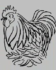 rooster.gif (27051 bytes)