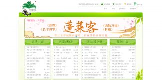 Home page of Jinjiang Literature City, an online fiction platform